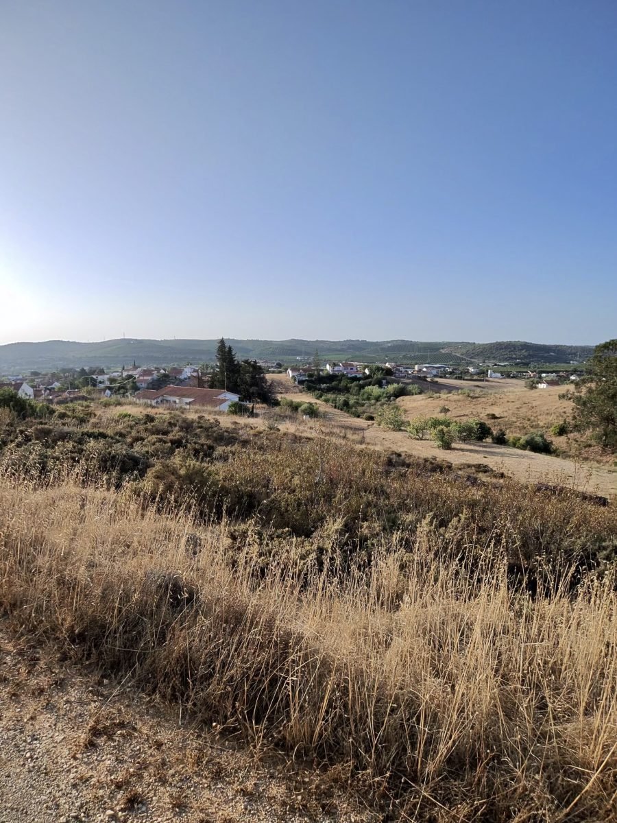 Dry golden grass and scrub on a hillside under a clear blue sky, with a whitewashed village in the distance