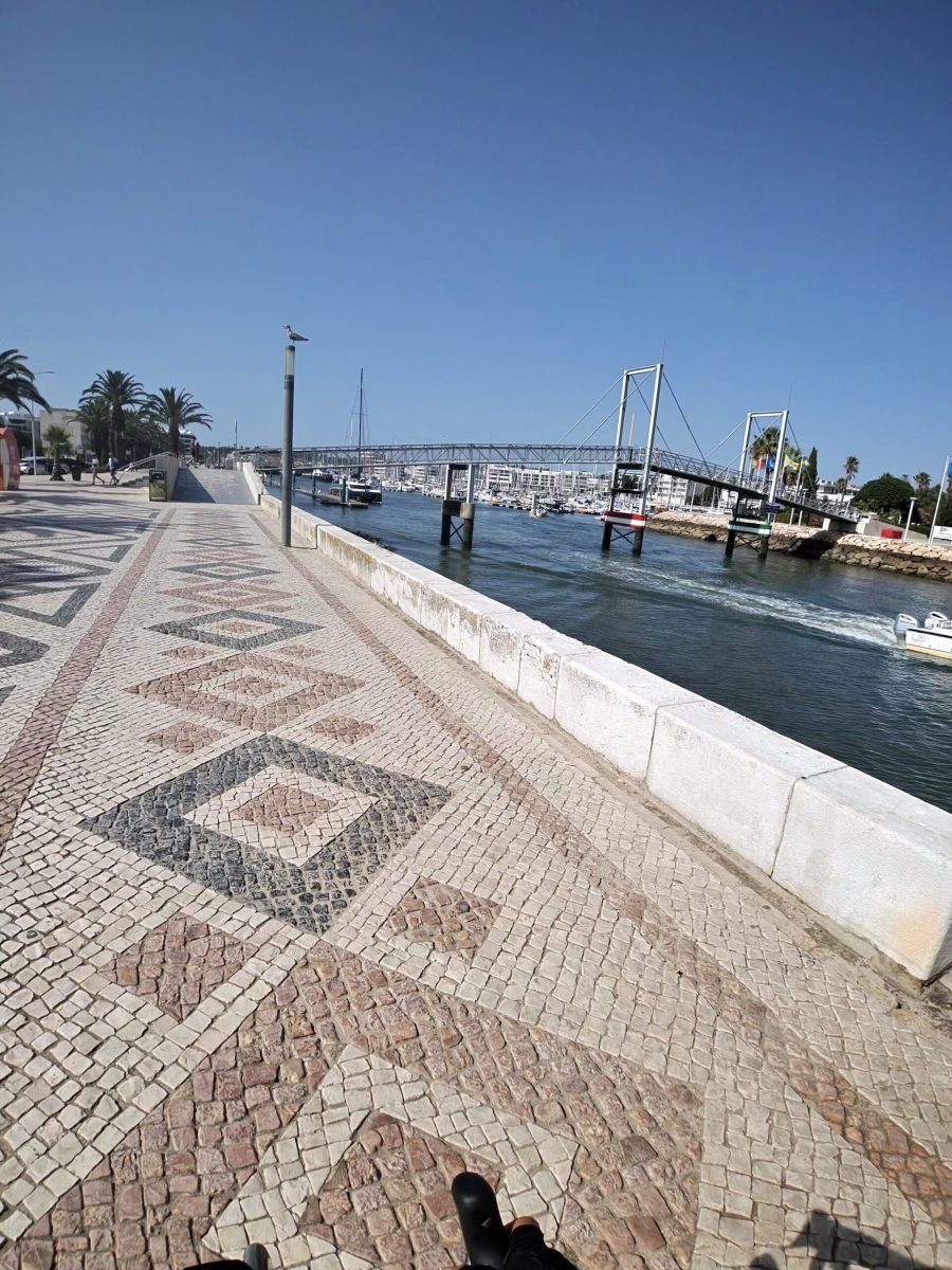 Patterned Portuguese pavement along the Lagos waterfront, with palm trees, the marina footbridge and boats
