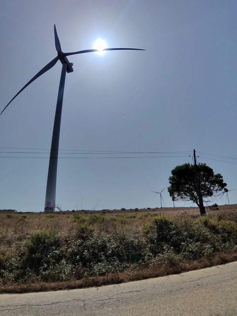 A wind turbine silhouetted against the sun on a scrubby plateau, with more turbines and a lone pine in the distance