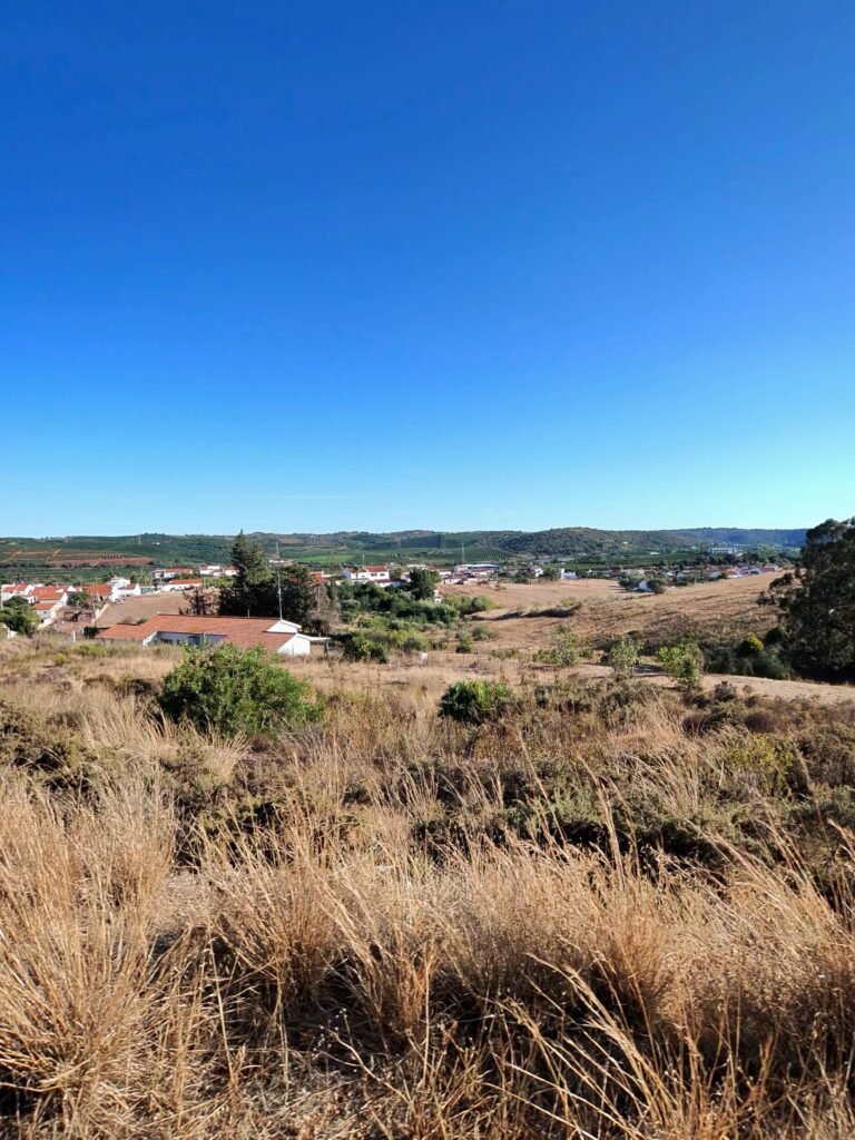 Dry summer grass and a view over the countryside near Silves at the end of the ride