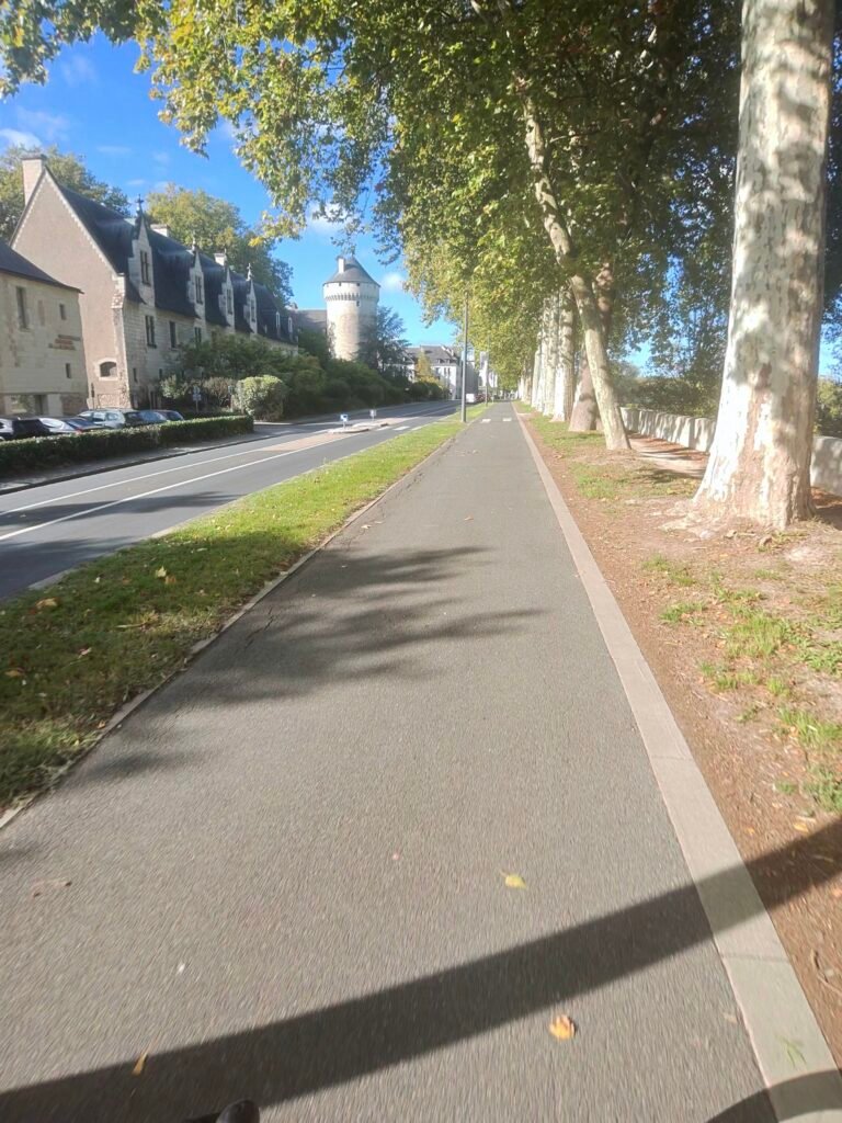 A cycle path under tall plane trees in Tours, with the Château de Tours and its tower at the end of the avenue